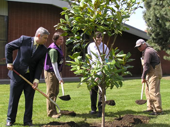 Clark College President Robert K. Knight, Friends of Trees Program Director Brighton West, City of Vancouver Urban Forester Charles Ray, and Clark College Grounds Manager Skip Jimerson took part a ceremonial shoveling of the dirt around the college’s newest tree, planted in recognition of Arbor Day 2010–the year in which Clark's Tree Campus USA efforts took root.