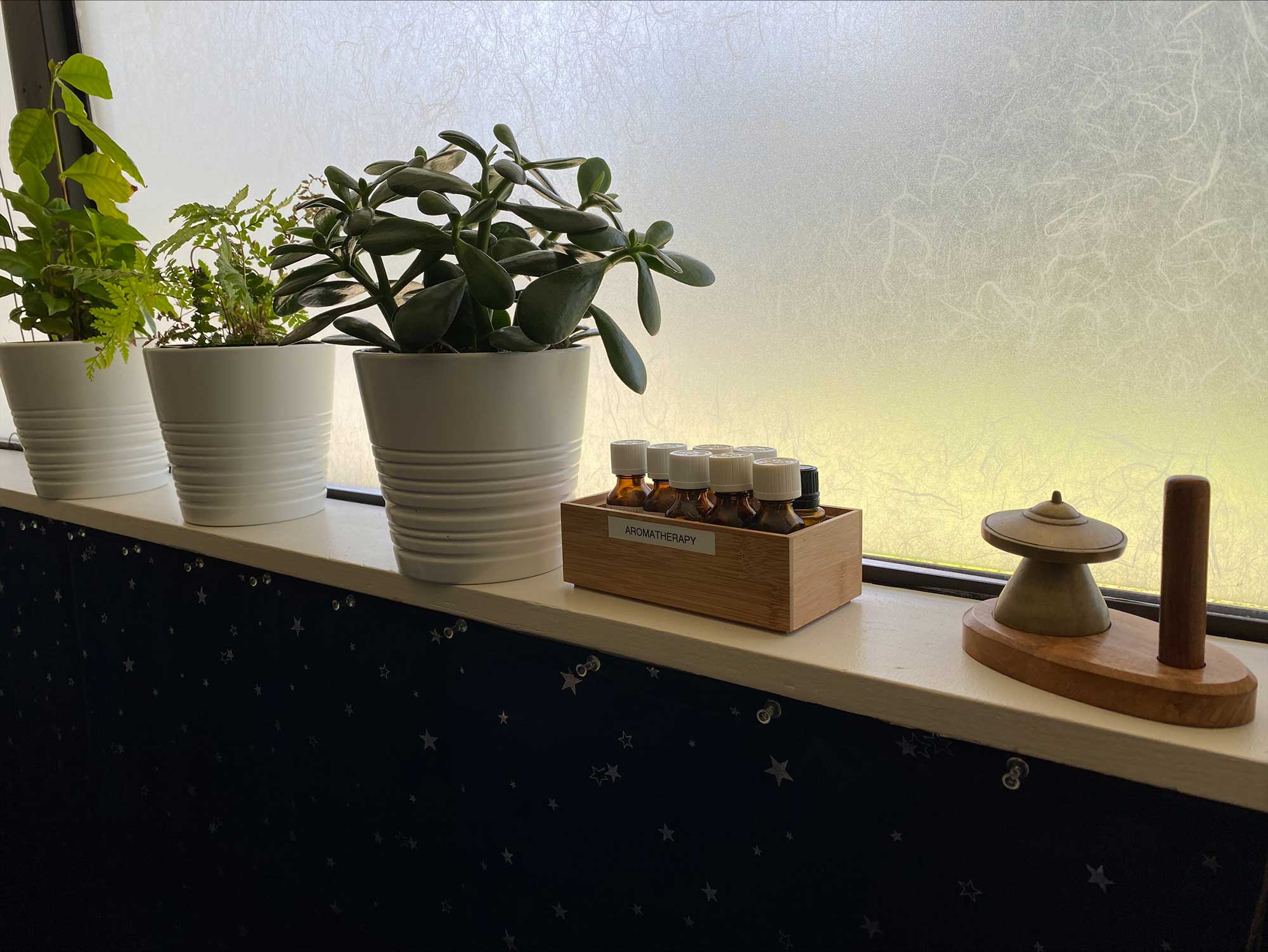 A row of plants, a box filled with essential oils, and a tabletop chime displayed on a window sill.