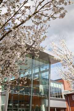 Clark College campus
