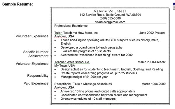 curriculum vitae samples for students. student resume examples.