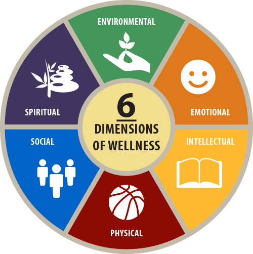 Image result for national wellness 6 components