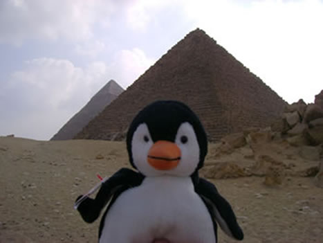 Oswald in front of one of the pyramids of Egypt