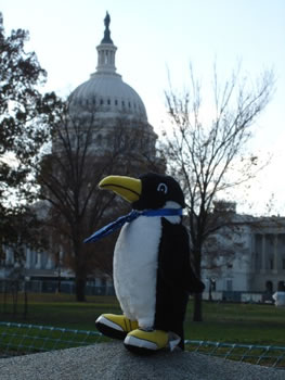 Oswald in front of the U.S. Capitol in Washington, D.C.