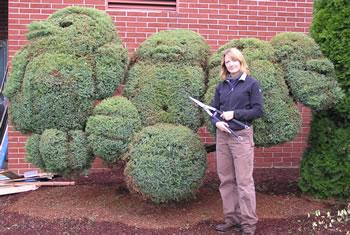 Clark College Grounds and Nursery Specialist Gayla Shanahan transformed the juniper bushes outside of Frost Arts Center into a flock of penguins.