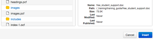 Insert button on upload dialogue box