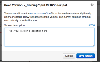save version dialogue box