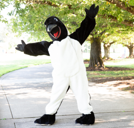 dancing oswald penguin