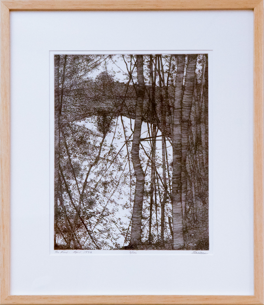 The Pond - April 1978