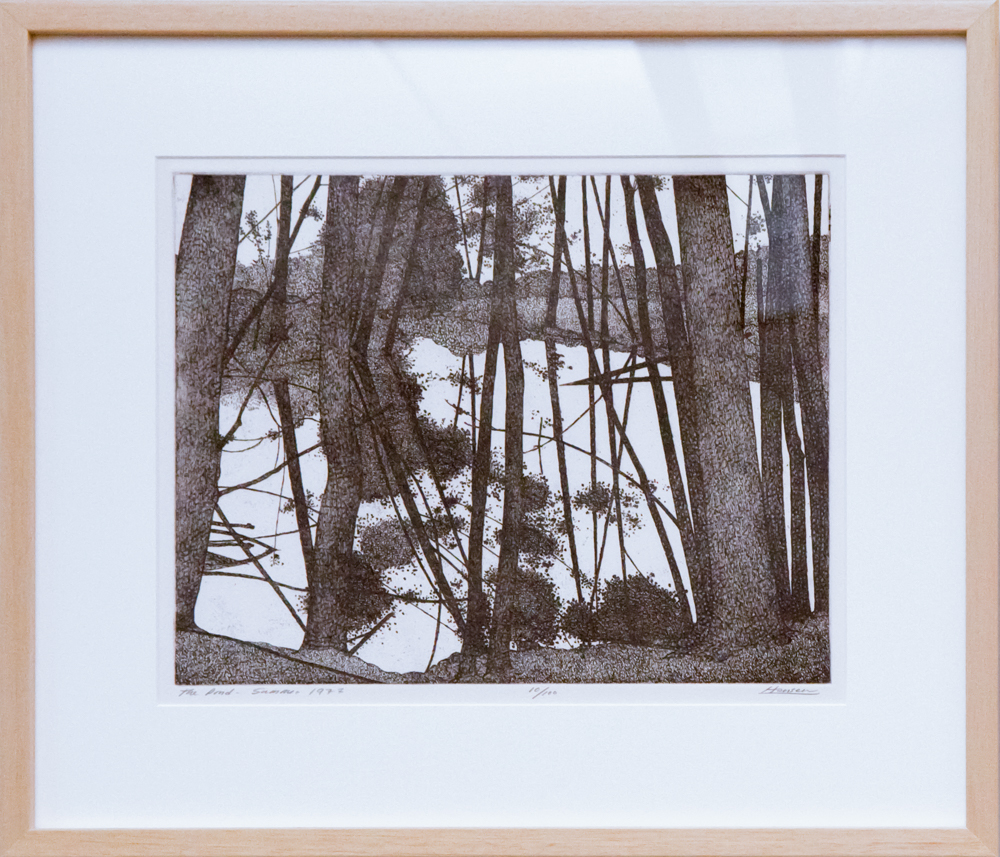 The Pond - Summer 1977