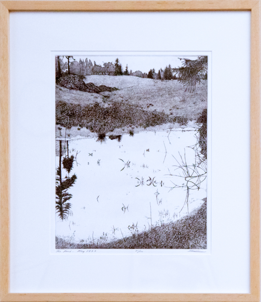 The Pond - May 1977