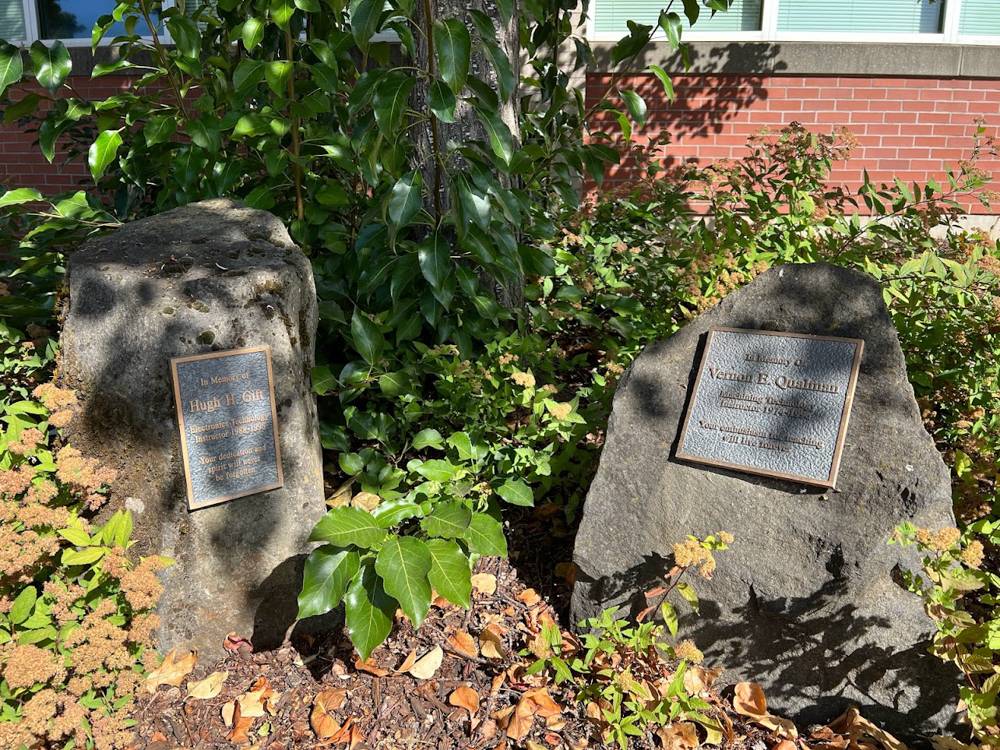 Plaques