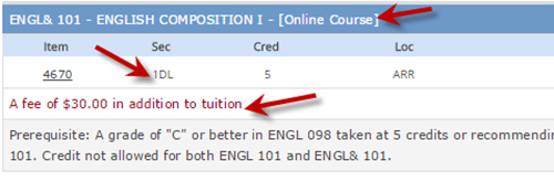 Online Course Schedule Example