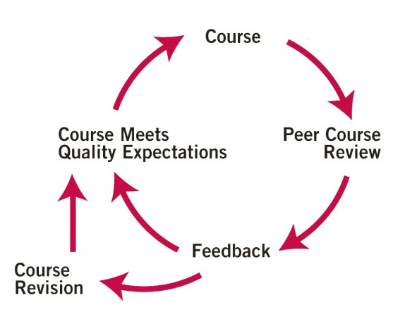 qm review process