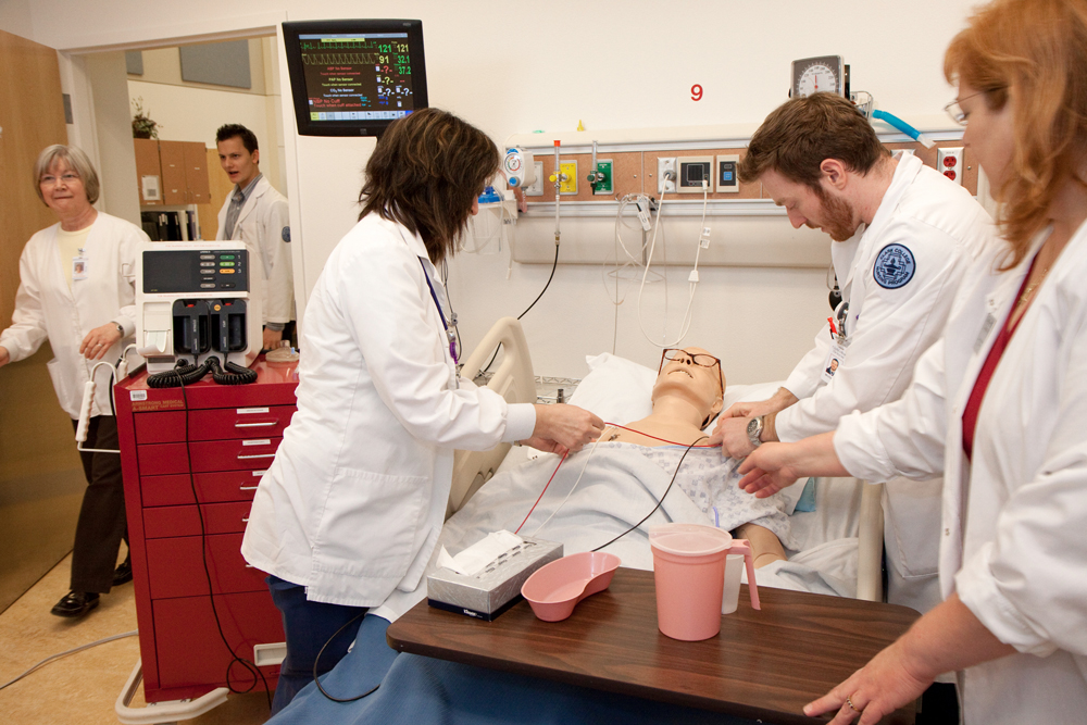 students in lab practice with with a plastic human replica