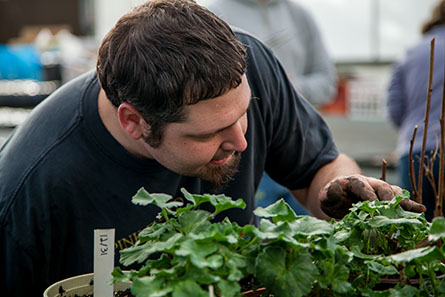 Clark College science student tending plants in the greenhouse.
