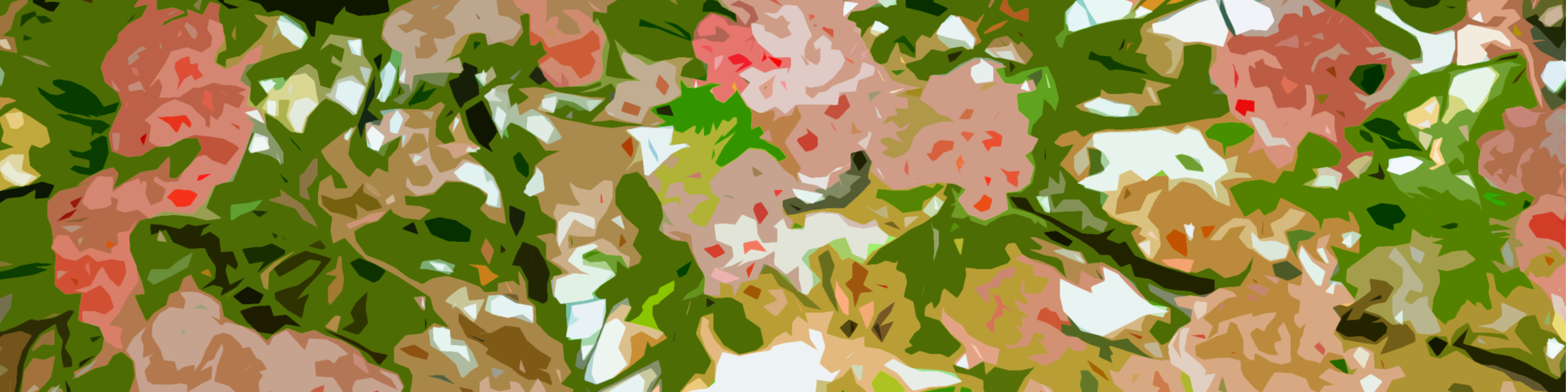Sakura Festival text