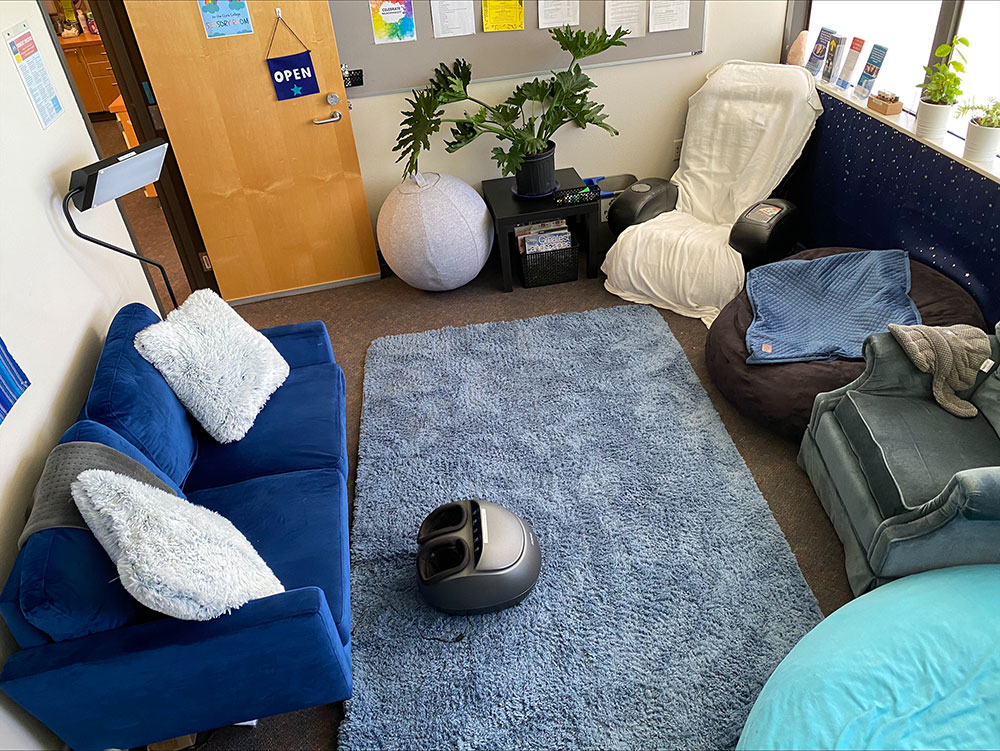 A potted plant sitted on a coffee table. Below the table is a basket of magazines and adjacent to it is a yoga ball for additional seating and comfort.