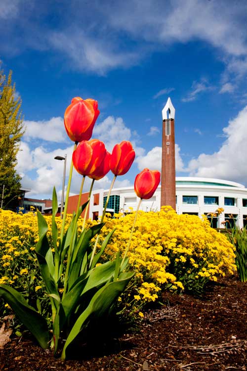 Image of campus