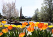 Clark college main campus