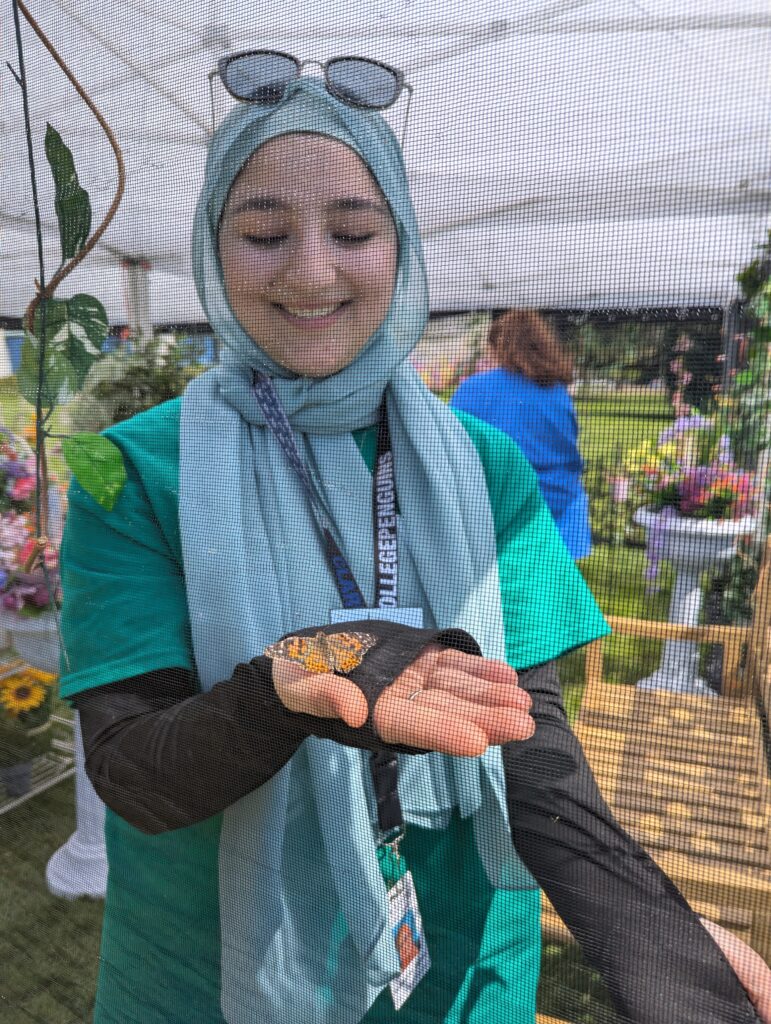 person holds butterfly
