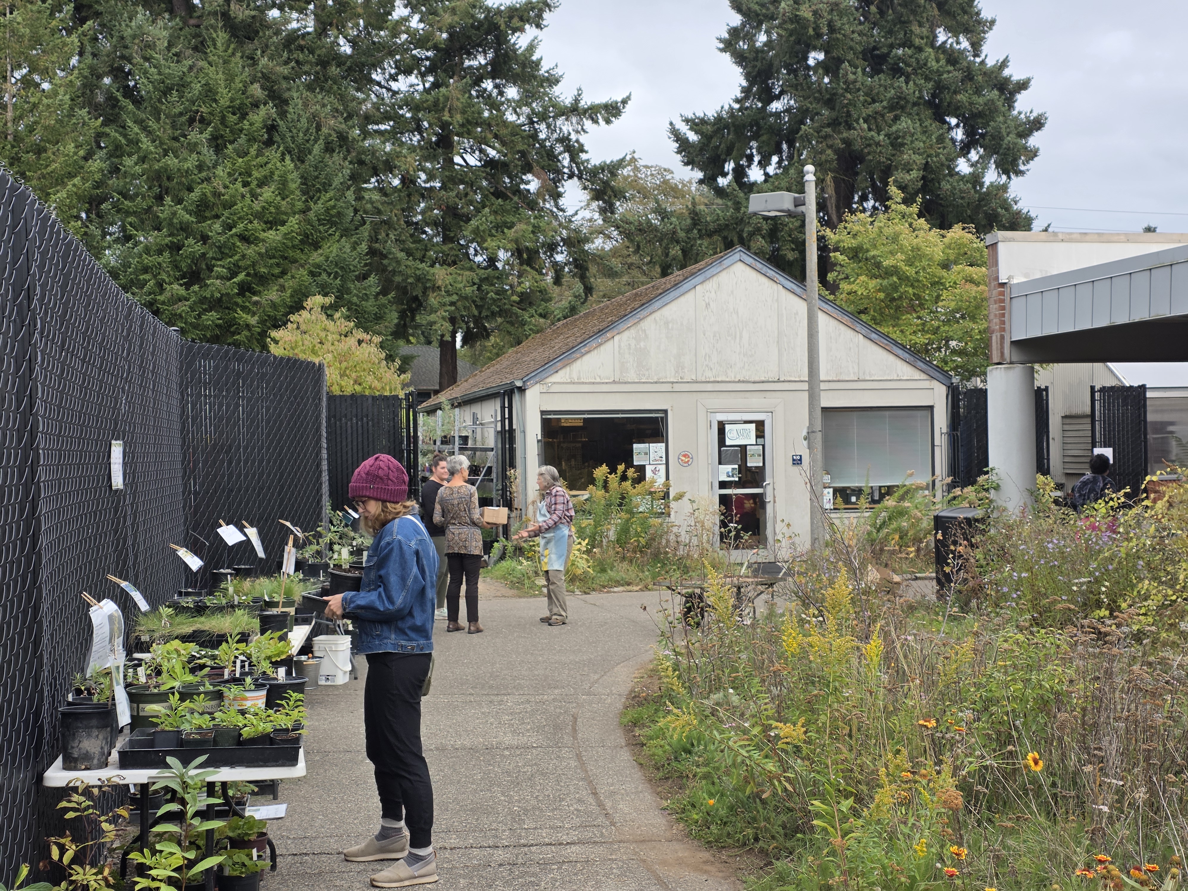 Plants on a table while someone browses.