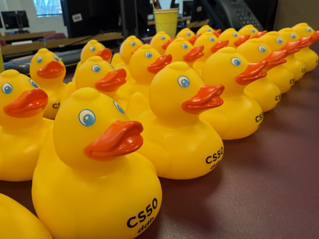 Rubber ducks lined in a row on a table