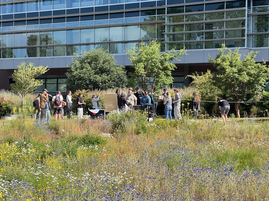 Engineering students in a bee garden in front of Clark's STEM building on a sunny day