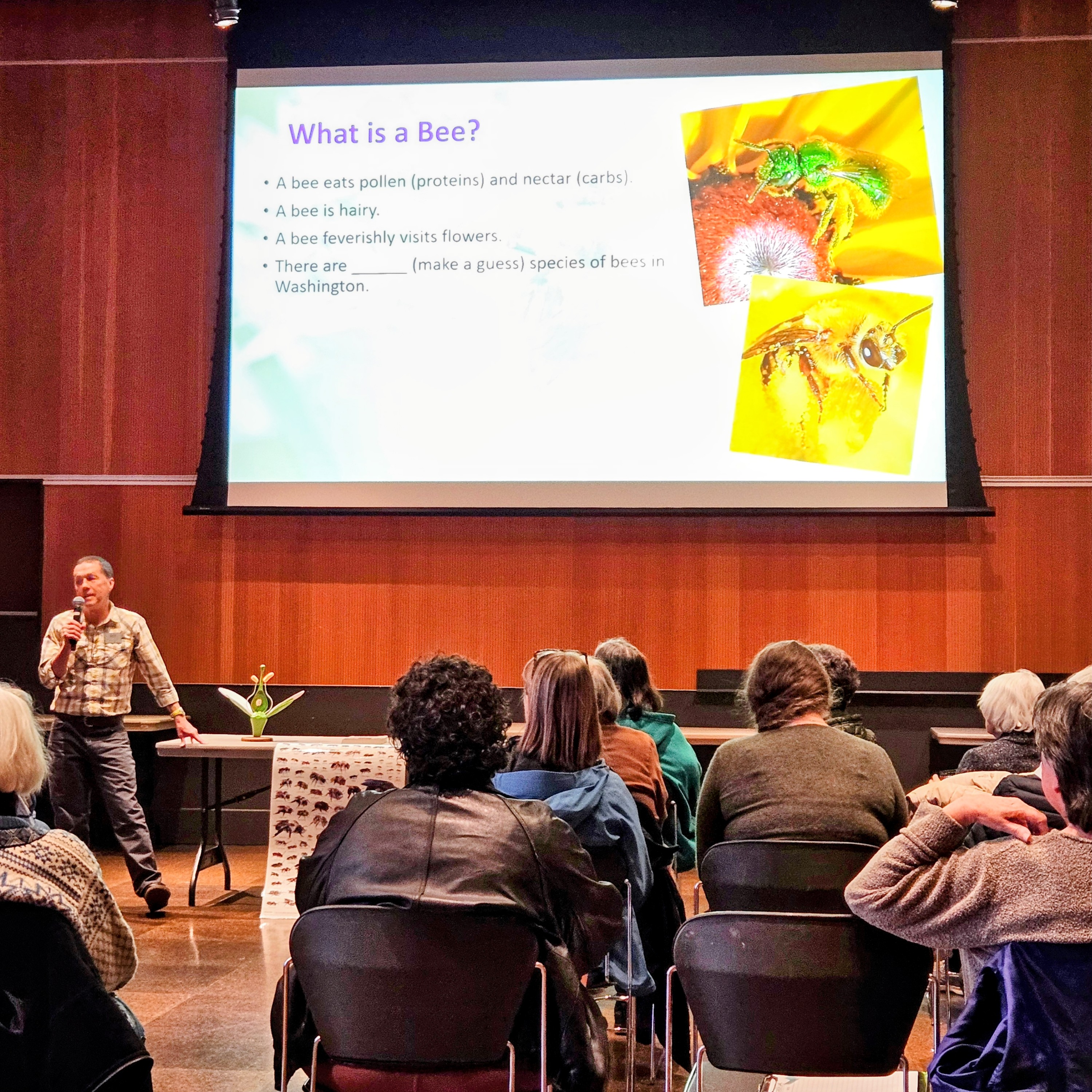 Steven Clark presenting on native bees at Vancouver library