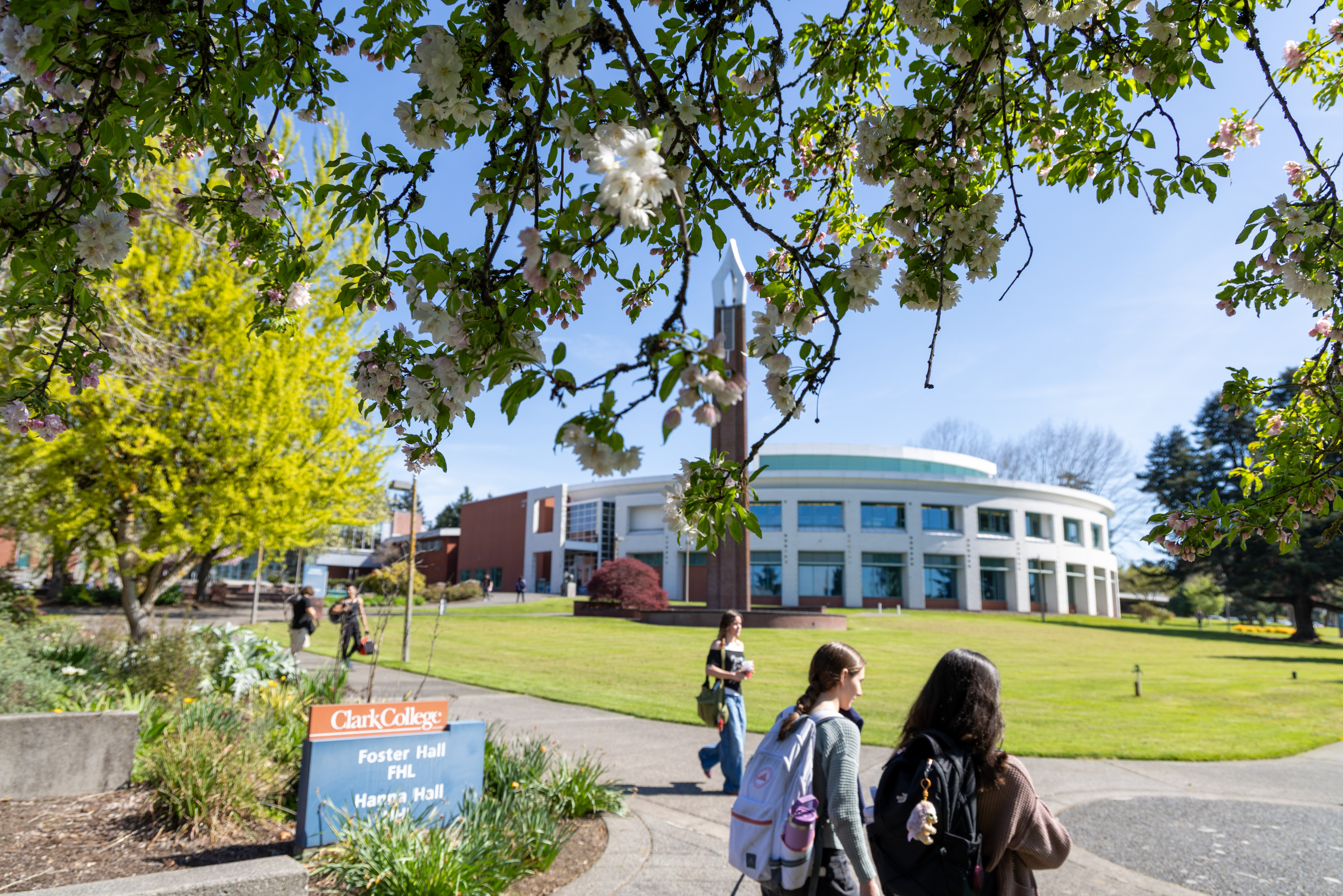 Students walking across the sunny campus