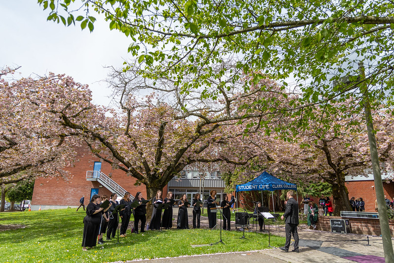 Choral Ensemble performs under cherry blossom trees