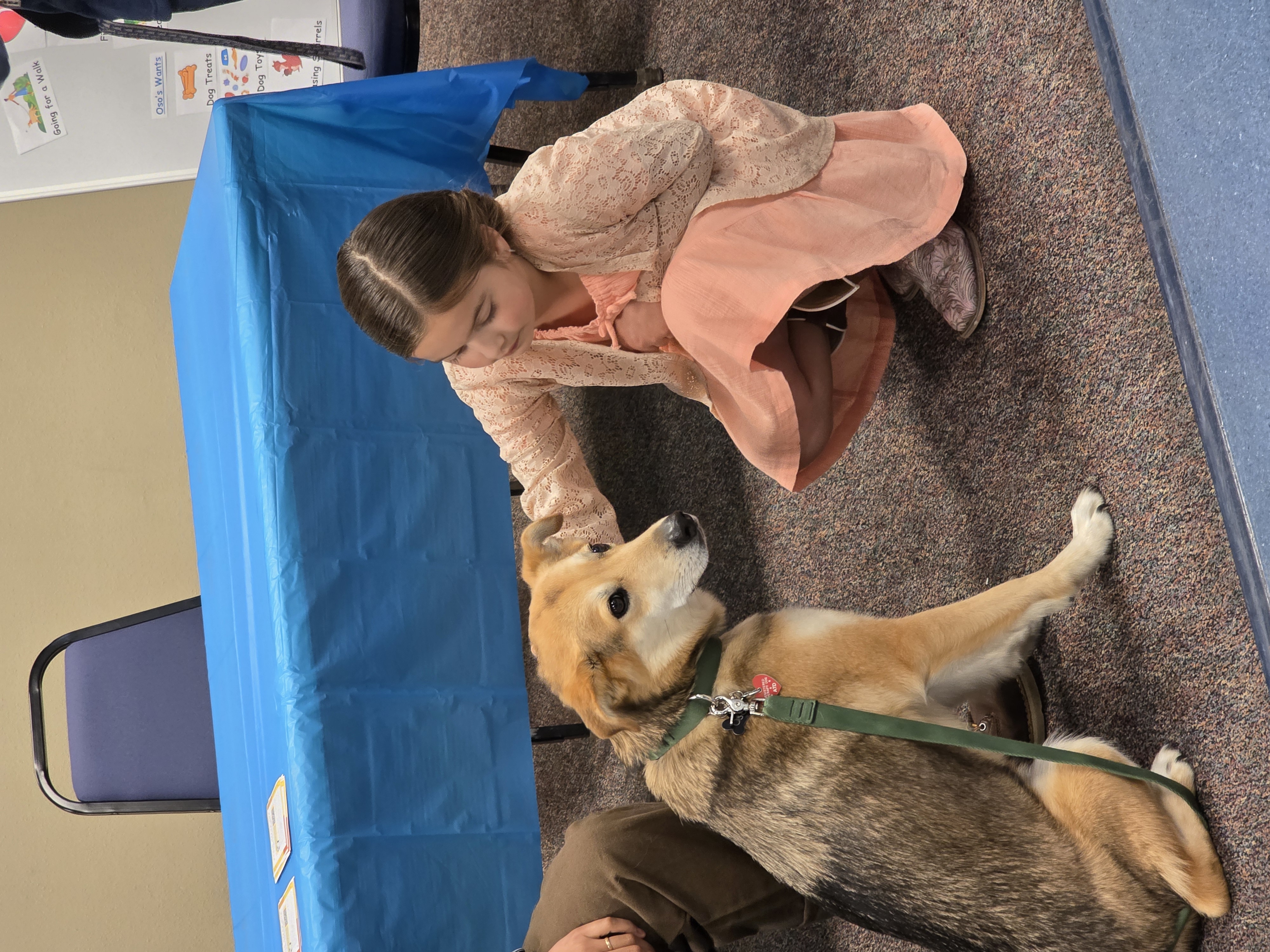 A child leans down to pet Oso