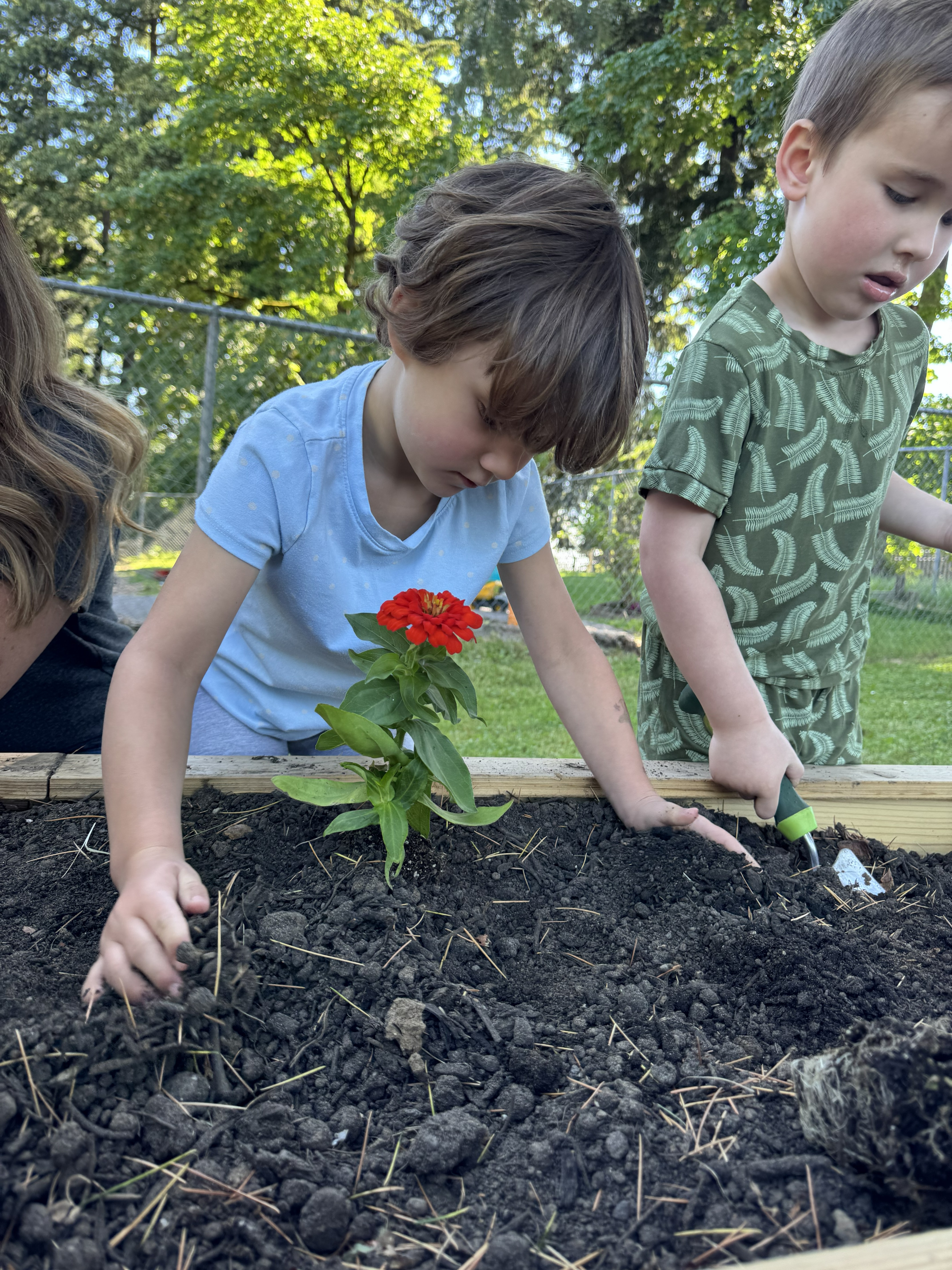 Child moving soil around a red flower