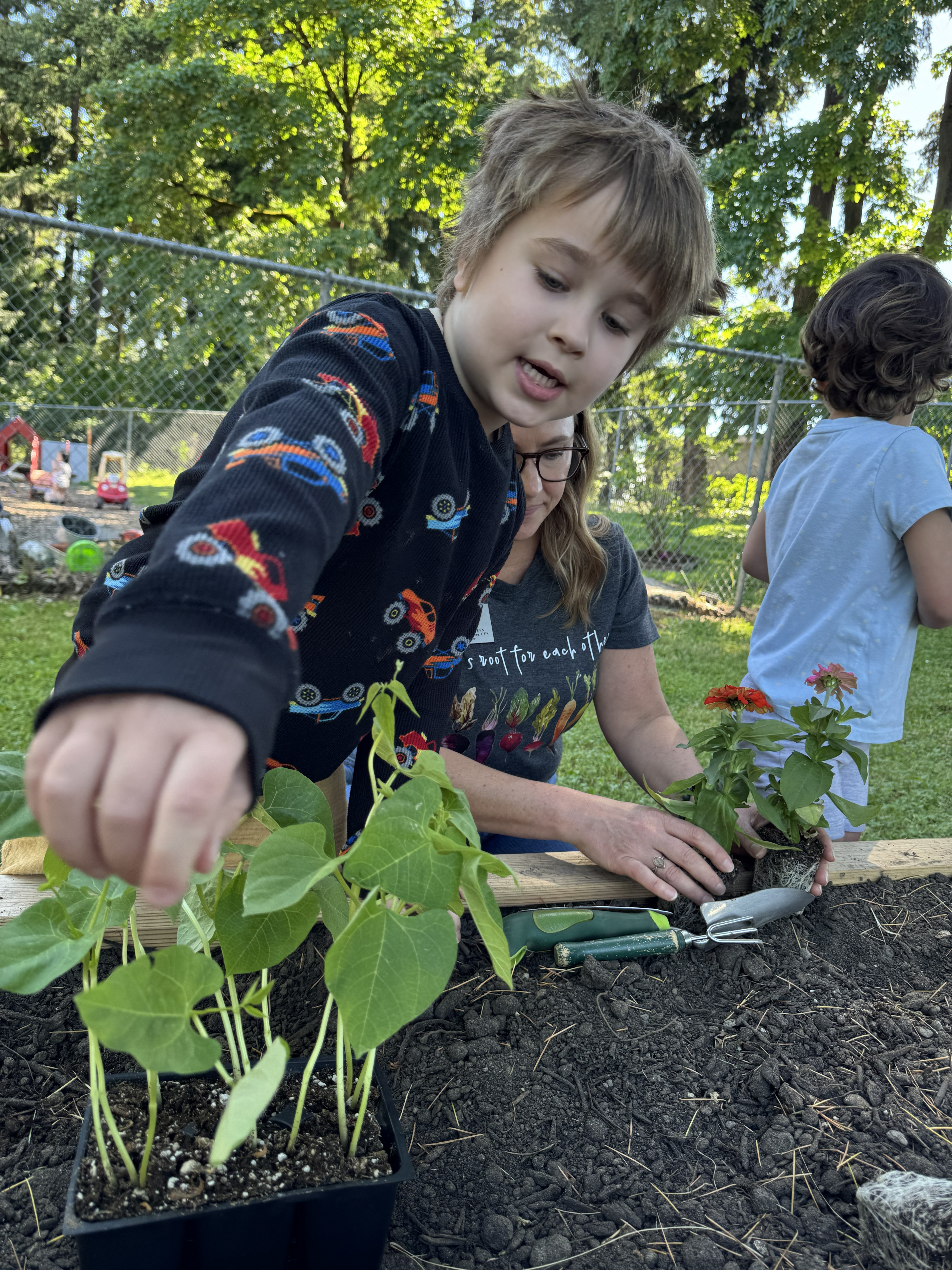 Little boy reaches for a plant in soil