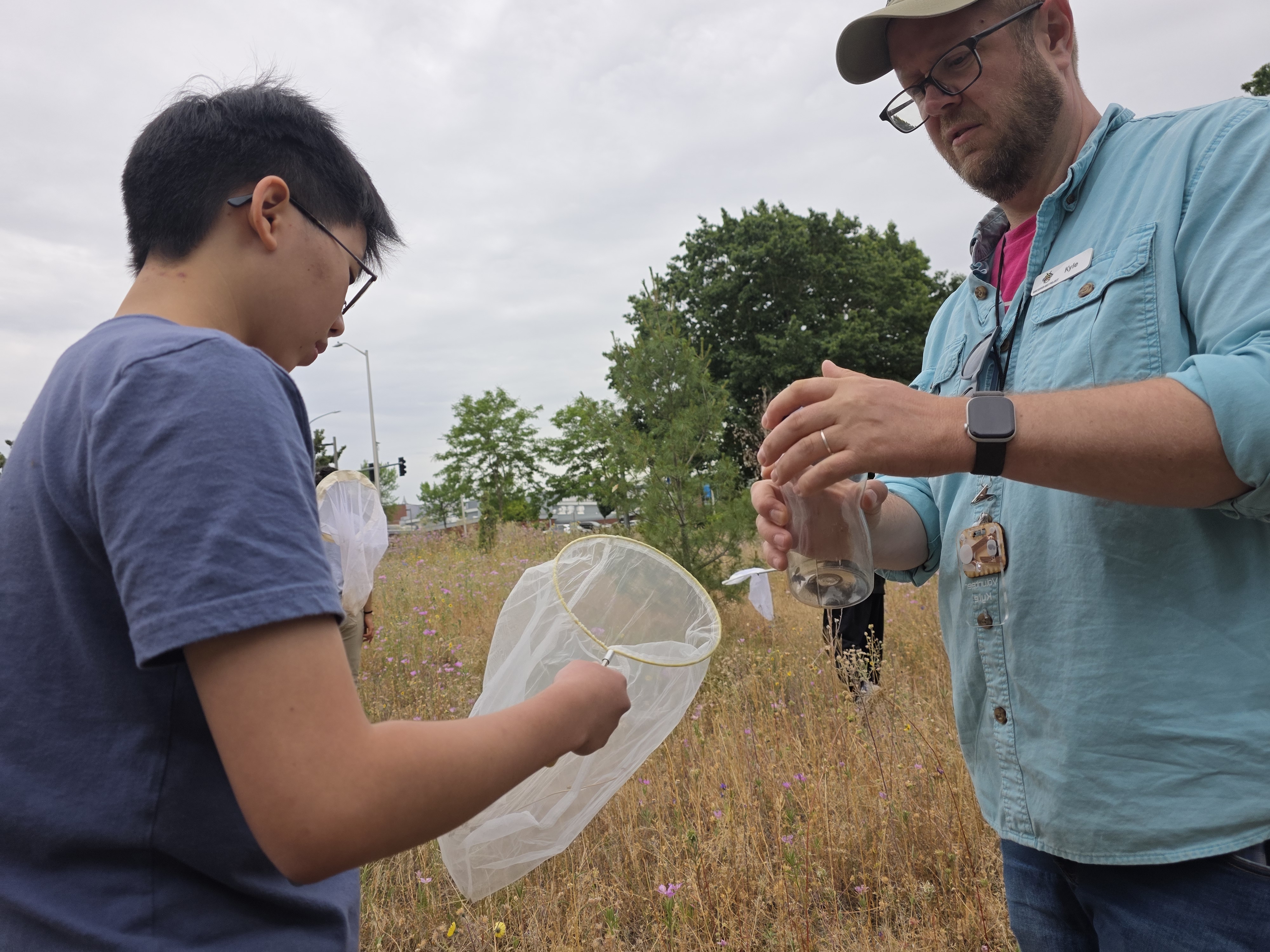 Vancouver Bee Project's Kyle Roslund looks at a bee in a net with a student