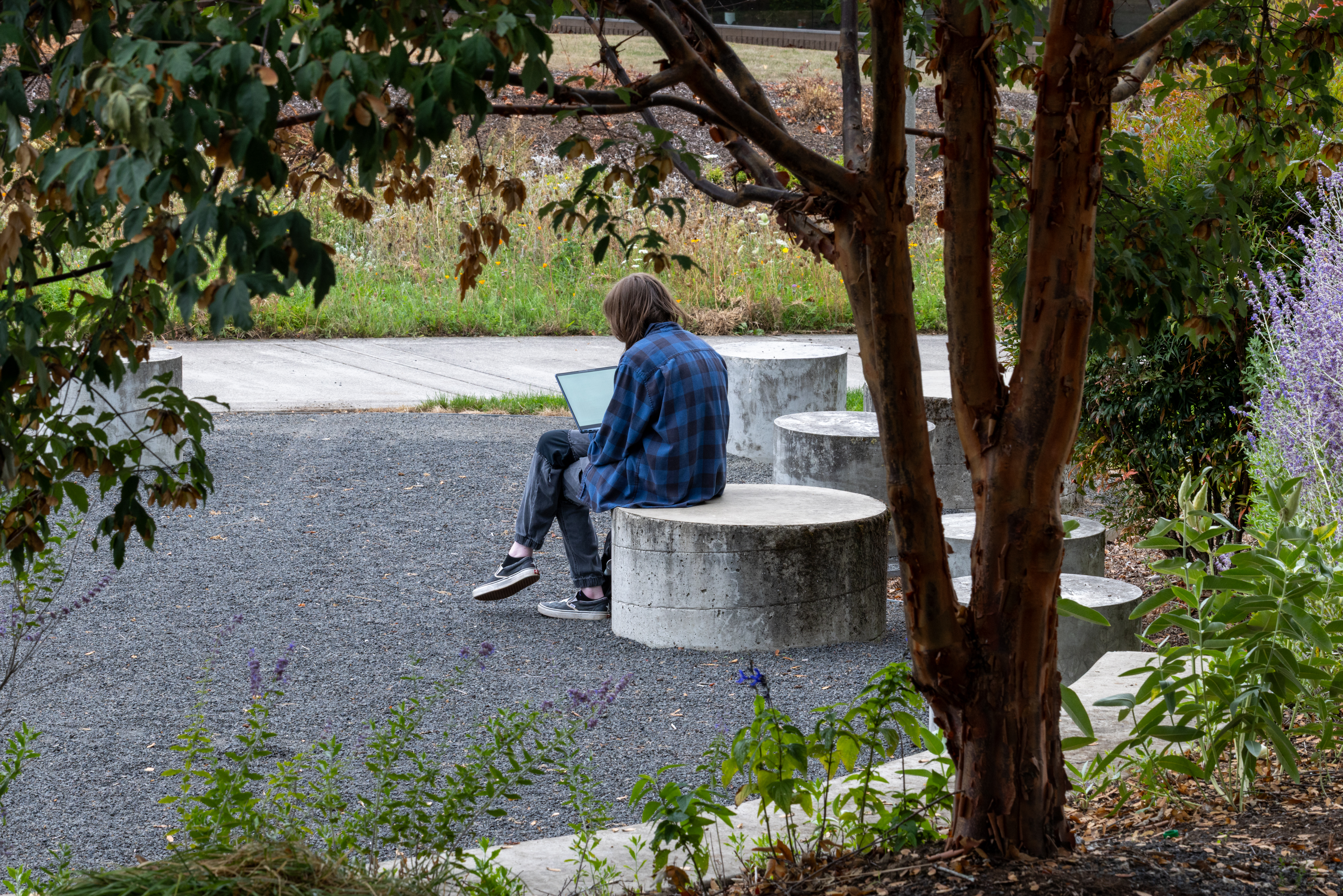 Student sits alone in Friendship Garden holding a laptop