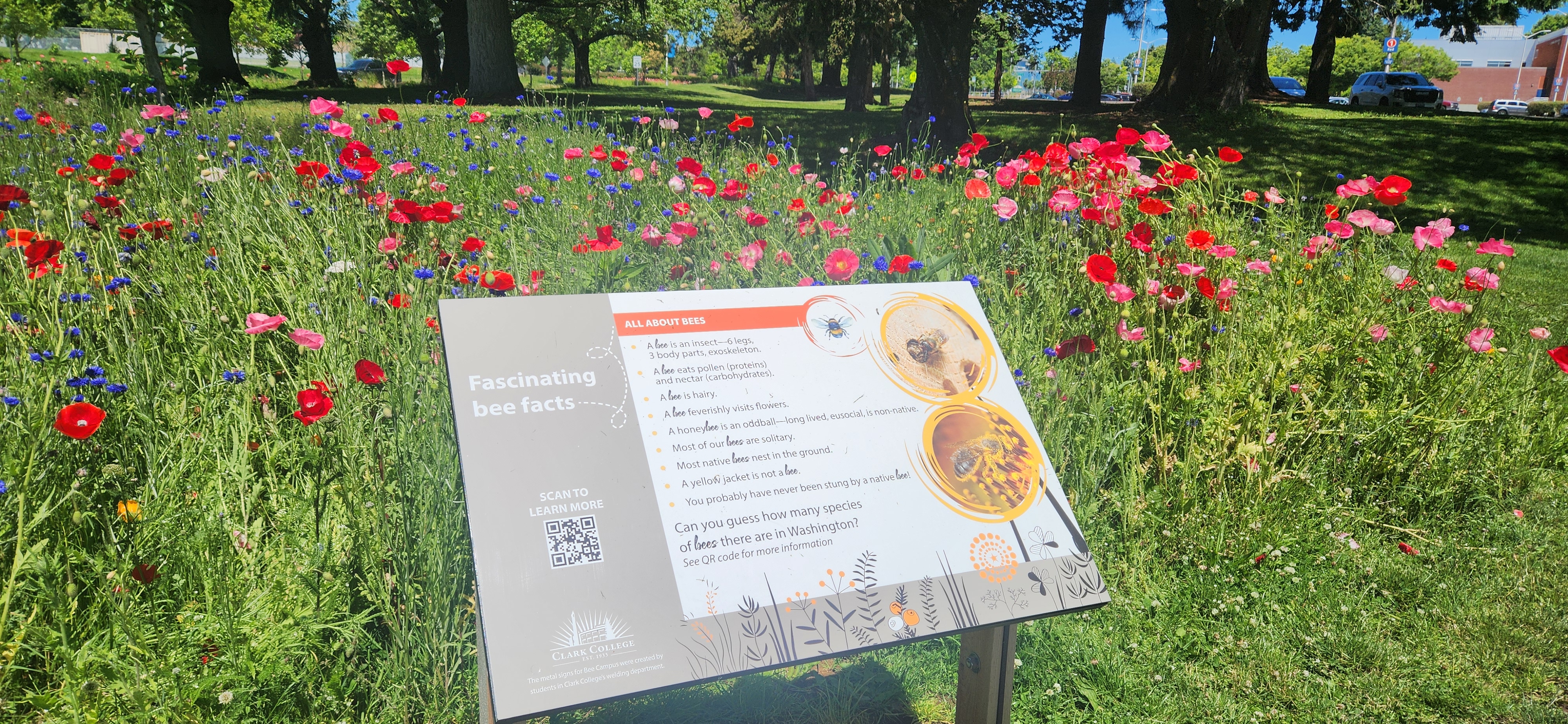 Plaque with bee facts in front of Clark's bee garden