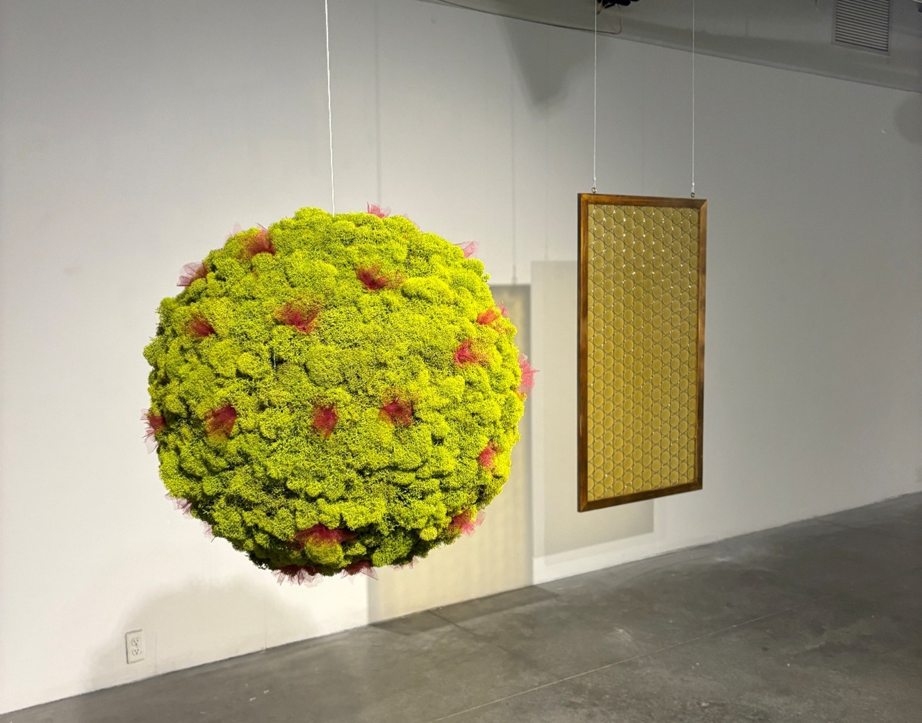 Nan Curtis sculptural artwork suspended from ceiling of Archer Gallery