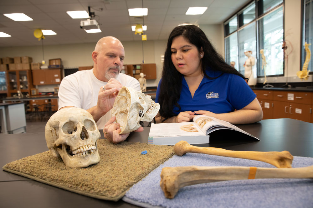 In a classroom setting, a biology student and their professor lean over a table, closely examining a human skull the student is holding. Another skull rests on the table beside an open textbook, and a separate human bone lies nearby.